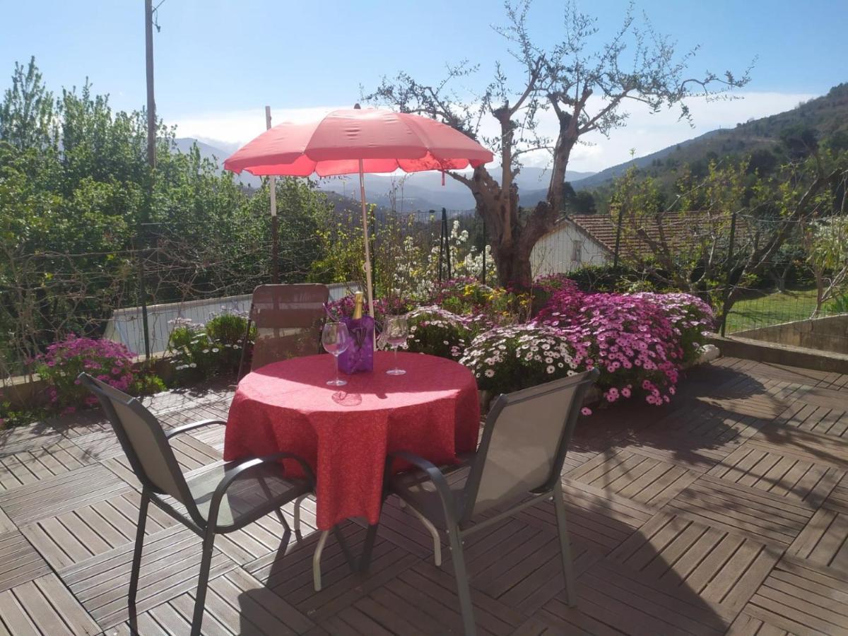 Studio Le Romantique A 20 Kms De Nice Bendéjun Εξωτερικό φωτογραφία